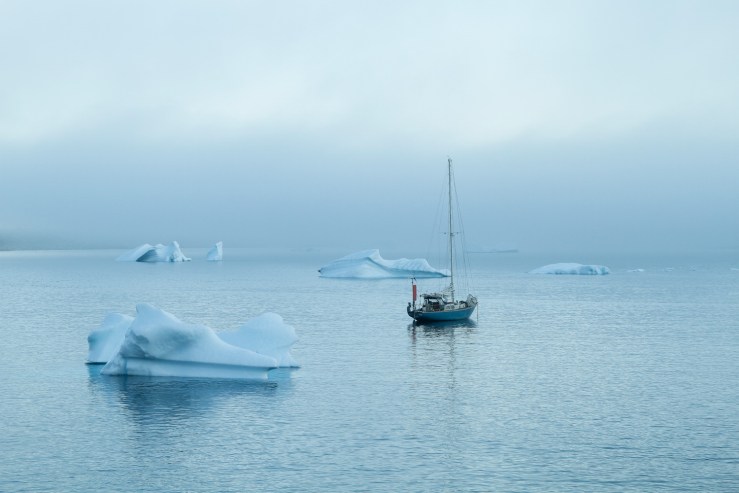Sailboat anchored amongst icebergs