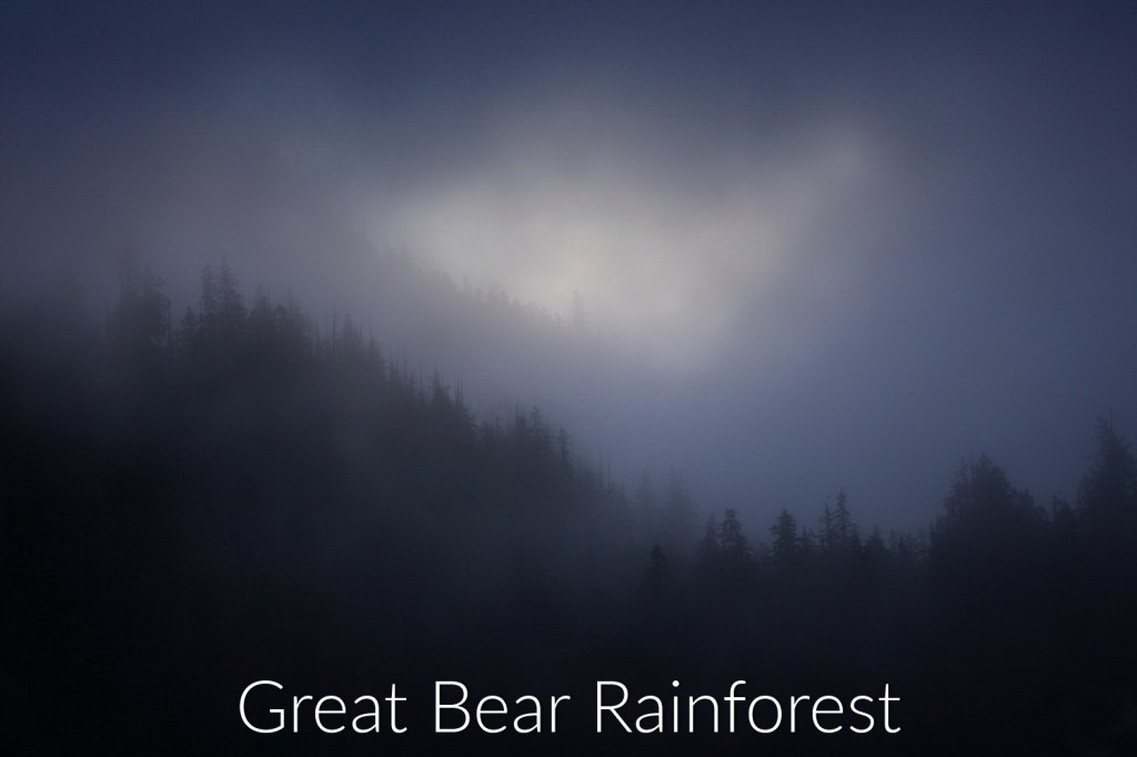 Great Bear Rainforest gallery